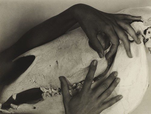 Georgia O´Keeffe - Hands and Horse Skull, 1931, Alfred Stieglitz (American, 1864 – 1946). Gelatin silver print, Sheet: 6 ½ x 8 5/8 inches. The Alfred Stieglitz Collection, purchased with the gift (by exchange) of Dr. and Mrs. Paul Todd Makler, the Lynne and Harold Honickman Fund for Photography, the Alice Newton Osborn Fund, and the Lola Downin Peck Fund, with funds contributed by Mr. and Mrs. John J. F. Sherrerd, Lynne and Harold Honickman, John J. Medveckis, and M. Todd Cooke, and gift of The Georgia O'Keeffe Foundation, 1997