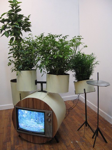 Trevor Reese, installation at Space 1026, has audio and video and plants!