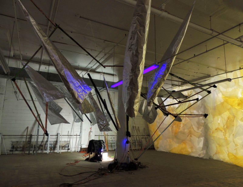 Tyler Kline installation 2014 Force Field