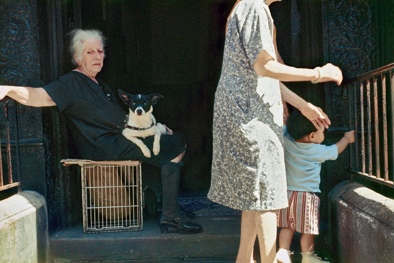 A woman and her dog, Helen Levitt, date unknown 