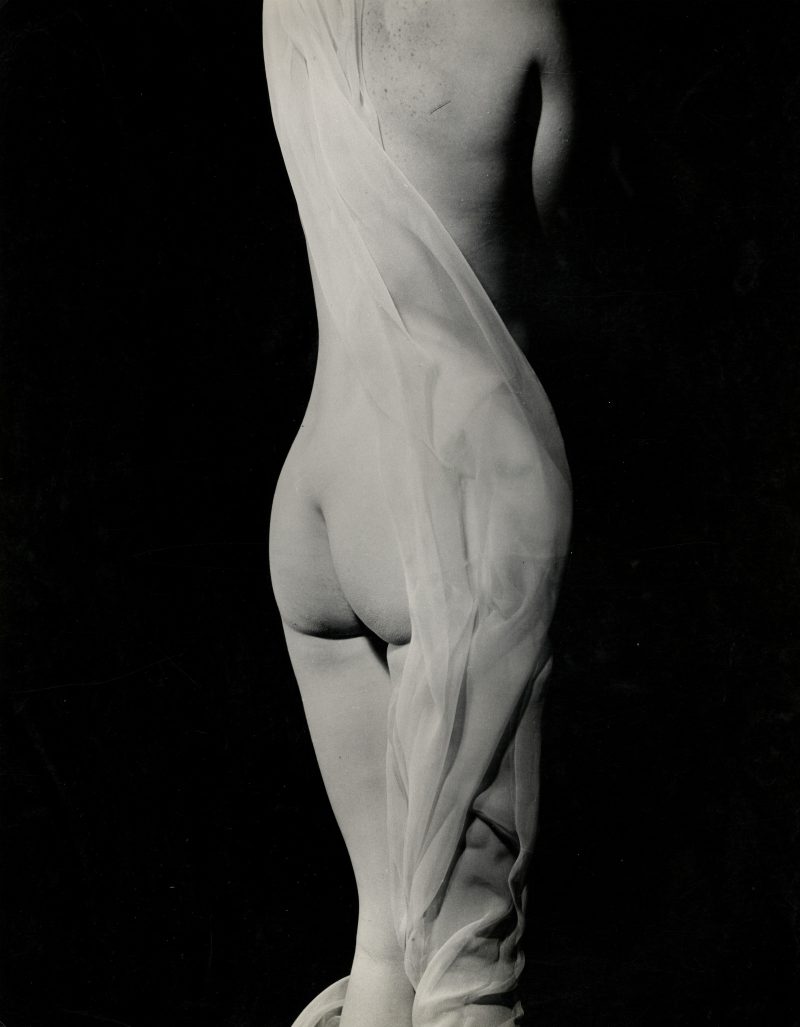 Erwin Blumenfeld (American, born Germany, 1897–1969). Draped Nude, 1936. Ferrotyped gelatin silver print, 13 3/8 x 10 5/8 in. Collection of Michael Mattis and Judy Hochberg. © The Estate of Erwin Blumenfeld.
