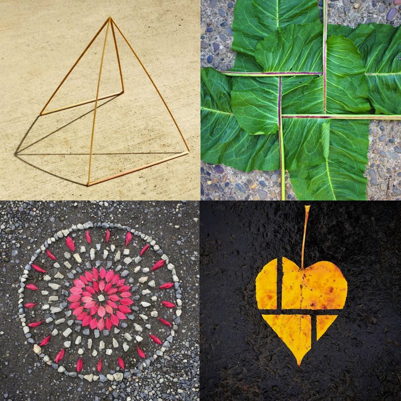 Top Left: Day 260/366. Two grass triangles w/shadow, 16 Sept 2016. Upper Right: Day 271/366, Broadleaf dock, 27 Sept 2016. Lower Left: Day 263/366, Plum leaves & stones, 19 Sept 2016. Lower Right: Day 338/366. Poplar leaf, 03 Dec 2016.