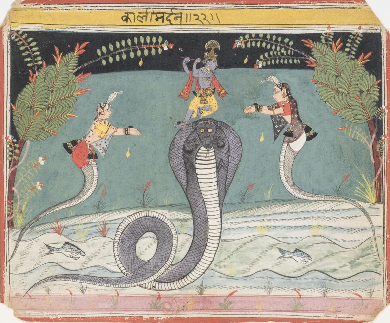 Krishna defeats the serpent Kaliya (Kaliya Damana), Malwa, India, ca. 1645. Opaque watercolor on paper. The San Diego Museum of Art; Edwin Binney 3rd Collection, 1990.952.