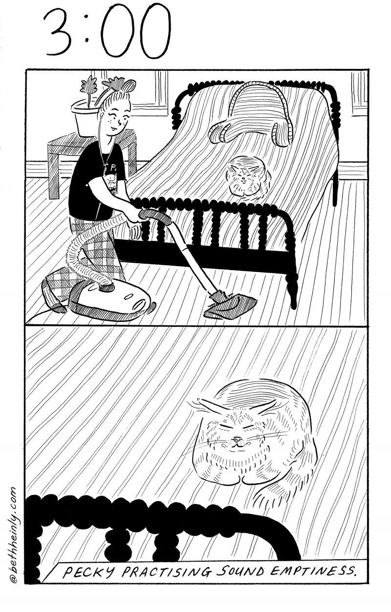 Two panel comic. Top panel shows a woman smiling and vacuuming the floor of a bedroom. The bed is made with a tidy striped cover, and a “husband” pillow sits at the head. A striped cat sits on the bed. Bottom panel shows closeup of cat smiling with eyes closed, contented on the bed. Caption: “Pecky  (the cat) practicing Sound Emptiness.”