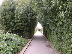 Promenade Plante