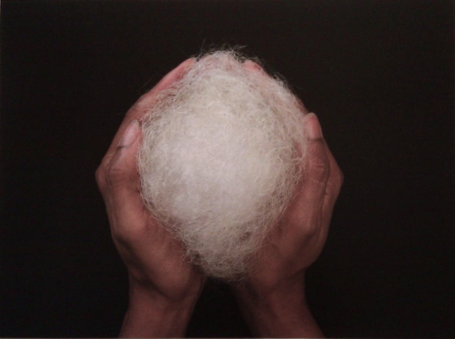 Sonya Clark, Mom's Wisdom or Cotton Candy, 2011, photograph, 36 x 24 inches; the hair is the artist's mother's, but Clark isolated the white hairs from the mixed mass of black and white