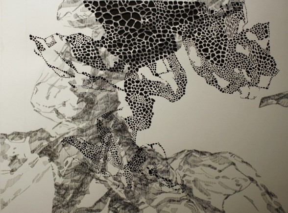 Work on paper by Laura Sallade, one of the recipients of PAFA's 2014 Venture Fund. Photo: laurasallade.com.