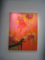 Orange Dream, by Ann Craven, 2006, oil on canvas, 48 x 36