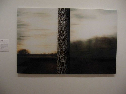 Anecdote of the Tree, by Eileen Neff, 2001, chromogenic print
