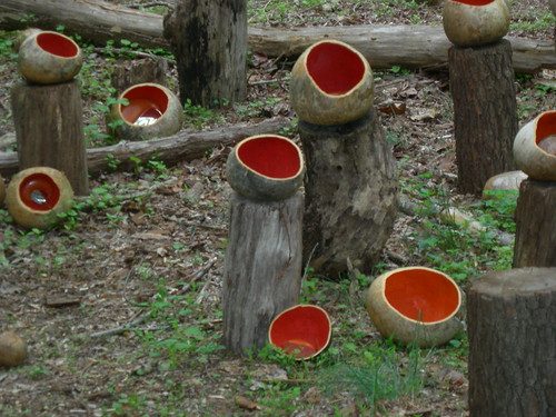 Katie Murken's installation of gourds and mirrors
