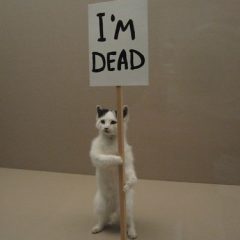 David Shrigley, I'm Dead, 2007, taxidermy kitten with wood sign and acrylic paint, overall--37 x 20 x 20 inches. Kitten and sign, 23 1/2 x 5 1/2 x 9 3/4 inches; Courtesy of the artist and the David Roberts Collection