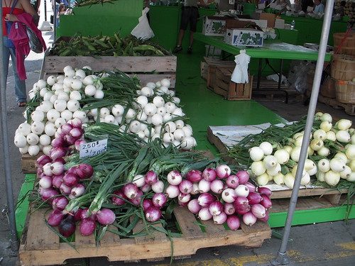 The onion display at Jean Talon market was almost better than the nearby flower displays