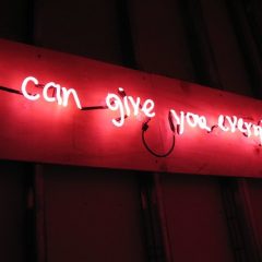 James Johnson, Promise (courtesy New Money), detail, 2008, neon sign, 16 x 91.25 x 3 inches. Full message reads I can give you anything you want.