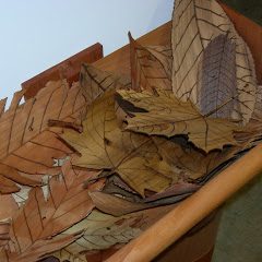 Detail of Lee Stoetzel’s leaves, each made from the corresponding wood of its species.