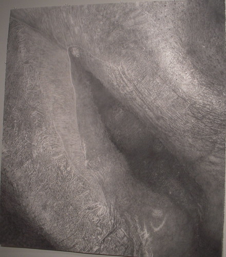 Cynthia Lin, Crop1Gmouth815, 2006. graphite on paper, courtesy of the artist. Lin's enormous, extreme closeup of lips is the sexiest piece in the show, and suggests some sort of electronic process behind it, whether it's xerox or digital.
