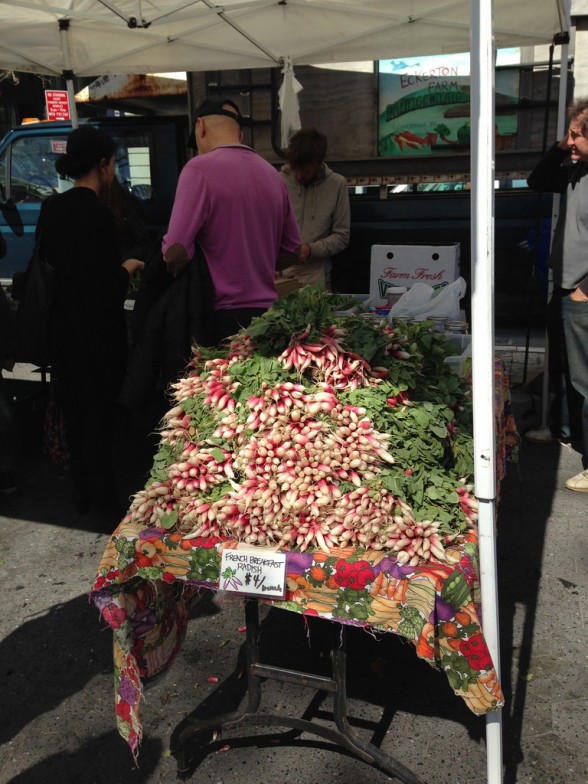 Beautiful radishes