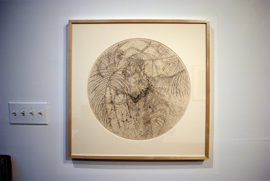 Alexander Springs, Graphite on Arches Buff, 19.5” diameter
