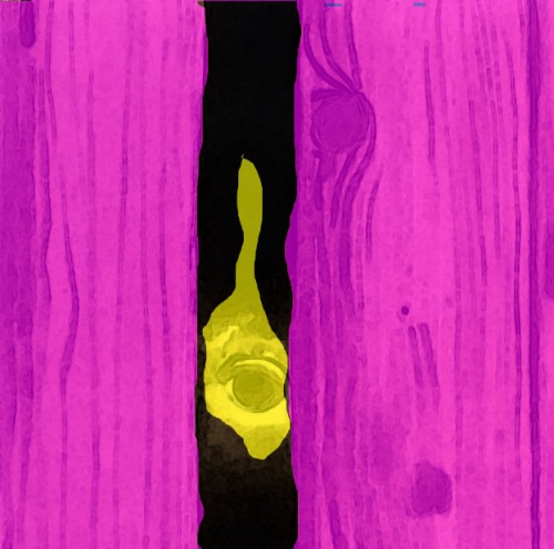 10433199 778447005528975 2330968096652745314 n