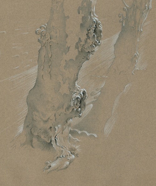 Street Tree 7th Pine A