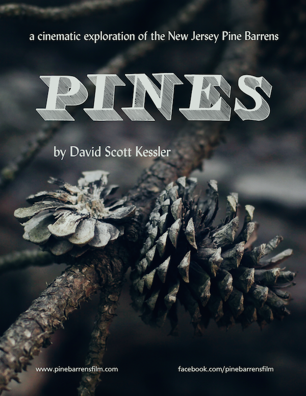 Poster for Pines, a film by David S. Kessler