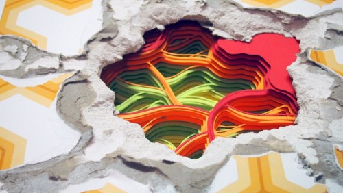 stachybotrys atr a diddle infestation movement 16 detail