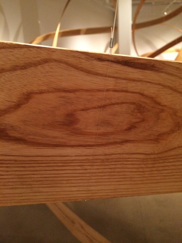 Detail of woodgrain
