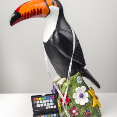 Photograph of a tucan statue