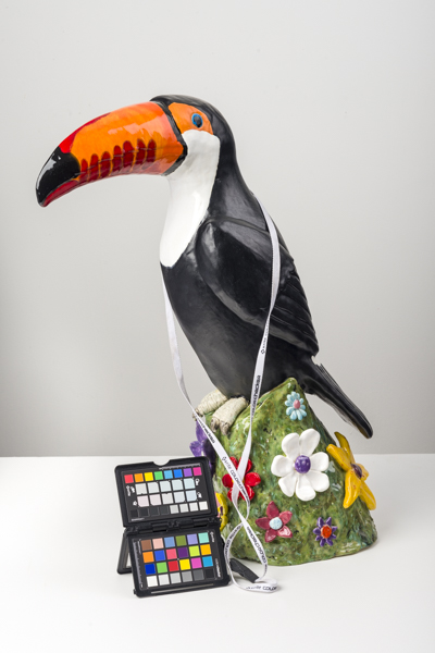 Photograph of a tucan statue