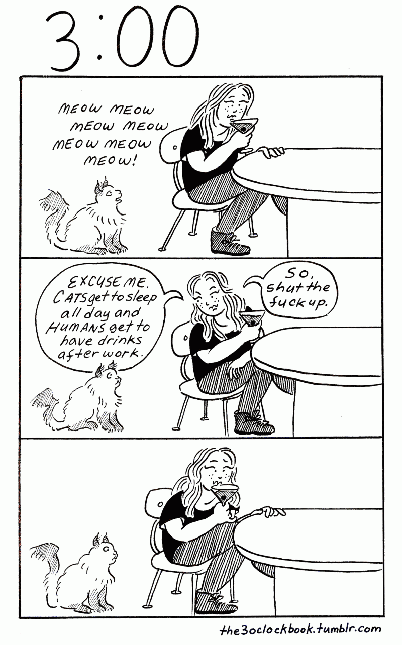 Beth Heinly The 3:00 Book and a demanding cat