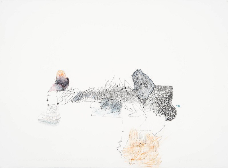 Joan Tanner, donttellmewhereibelong #2, 2013. Graphite, oil stick, and pastel on paper. 22 x 30 inches. Image courtesy of Locks Gallery. 