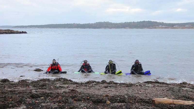 Hope Ginsburg, Breathing on Land: Bay of Fundy, still from video