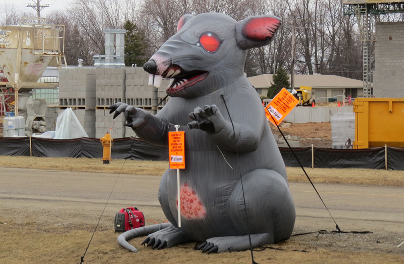 Giant inflatable rat hard art work defending labor union practices. Via Perviant Law Firm.