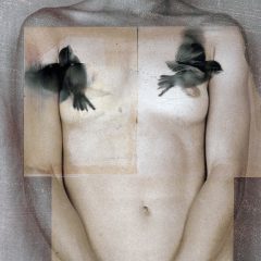 Paul Cava's photo-poetic delights in Variations at C. R. Ettinger Studio 9 “Sylvia (Two Birds)”, Paul Cava, Painted Iris print with pencil, 12 ¾” x 9 ½”, Unique, 2001. Image courtesy of the artist.