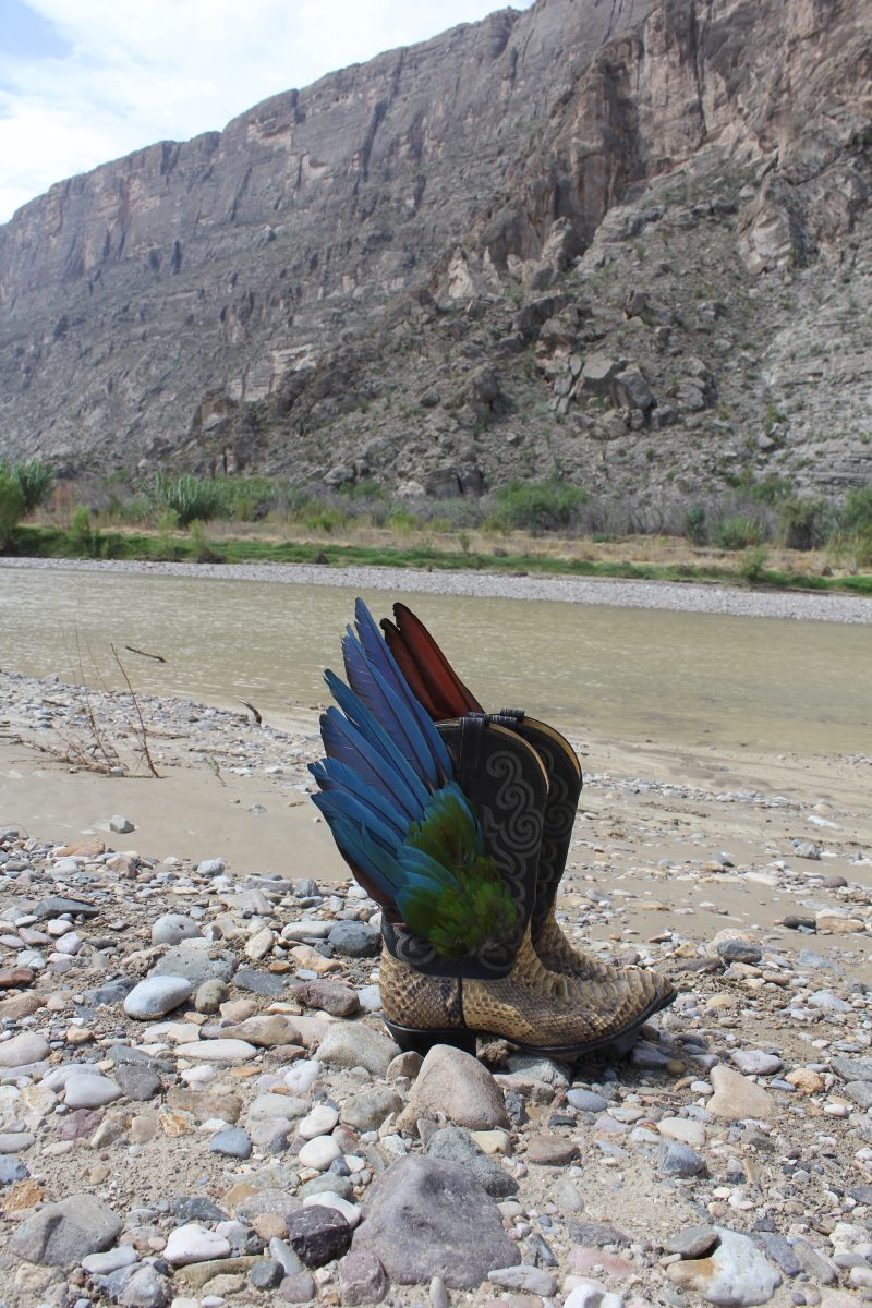 Brian Turkowski State of Suspension 2014 17.5” x 15” x 5” each Snakeskin boots, macaw feathers, leather, waxed linen cord