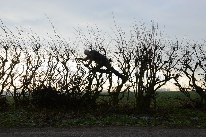 Andy Goldsworthy in LEANING INTO THE WIND, a Magnolia Pictures release.