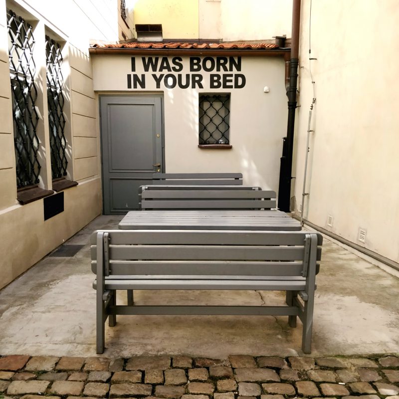 Daniel Pešta, "I WAS BORN IN YOUR BED," 2013.