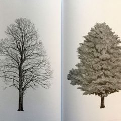 Cesare Lombardi and Franca Stagi The Architecture of Trees (Princeton Architectural Press, New York: 2019) ISBN 987-1-61689-806-9