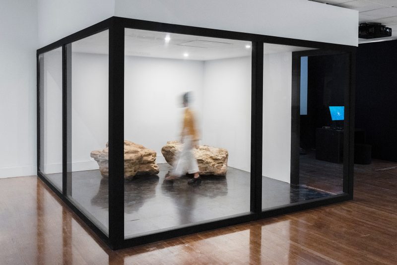 Installation view of Designs for Different Futures (Generations section), featuring Resurrecting the Sublime, 2019, by Christina Agapakis, Alexandra Daisy Ginsberg, and Sissel Tolaas with support from IFF and Ginko Bioworks, Inc. Photo by Juan Arce, courtesy Philadelphia Museum of Art, 2019.