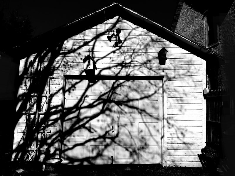 Black & white photo of a garage with harsh shadows from the tree nearby.