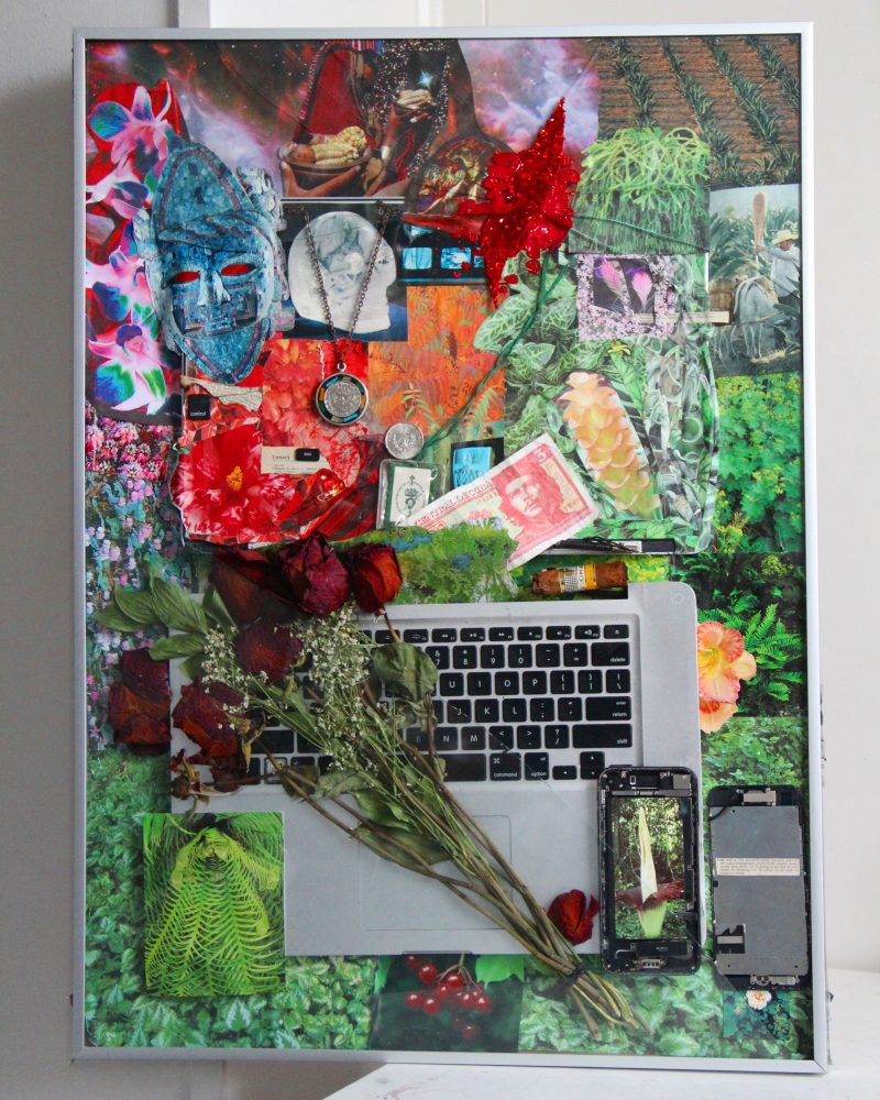 Collage of technology, photos, money, flowers, and more. Imagery includes roses, a laptop keyboard, a broken phone screen, photos of flora, necklaces, change, cuban currency, a blue face made out of cut paper, and a cigar.
