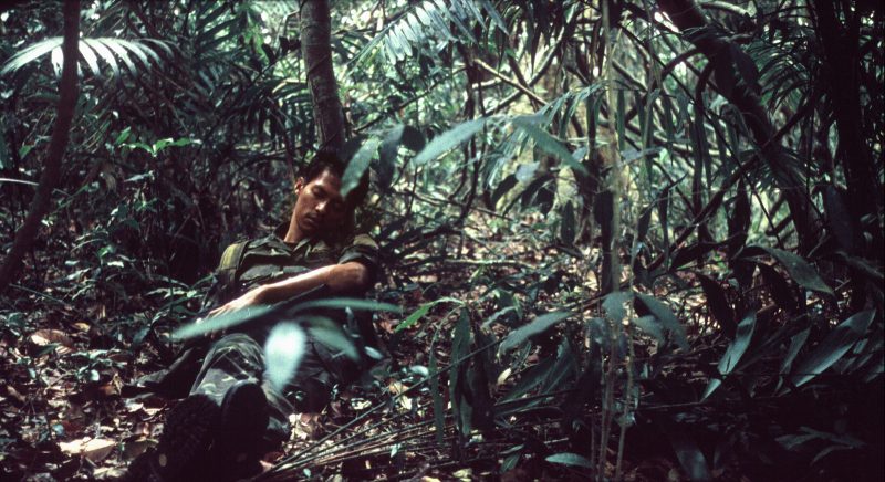 Man sleeping in the forrest, surrounded by trees.