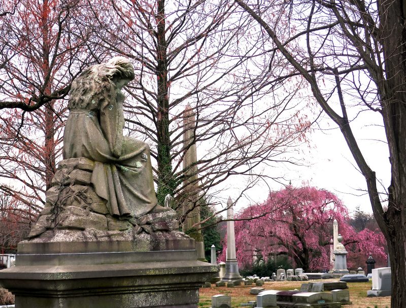 Graveyard with a statue of a woman looking downcast and cherry blossoms in the background.