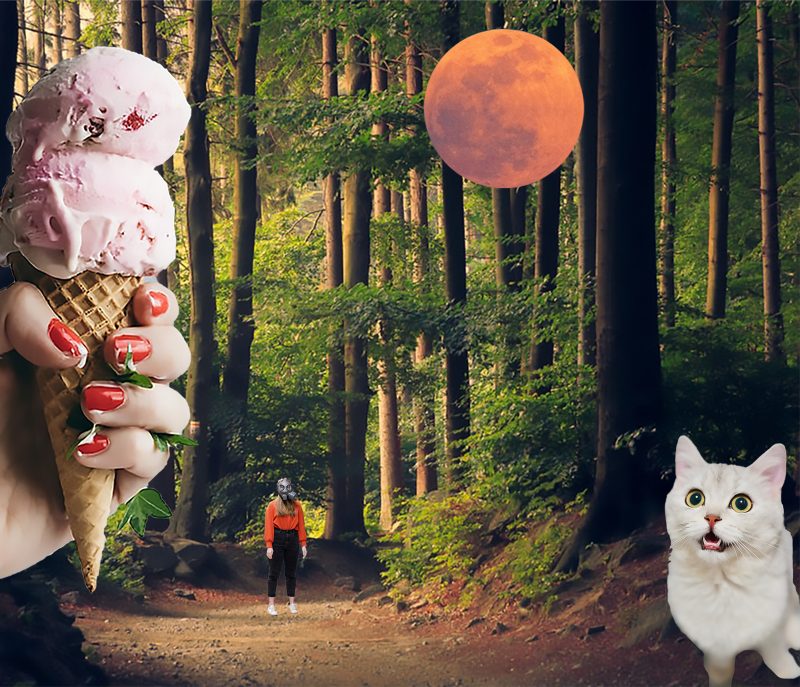 Collage of the woods with a cat, a figure, a moon, and ice cream cone.