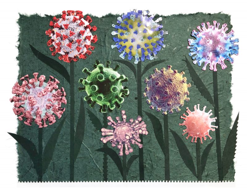 Mixed media collage of image of virus placed where flower head should be