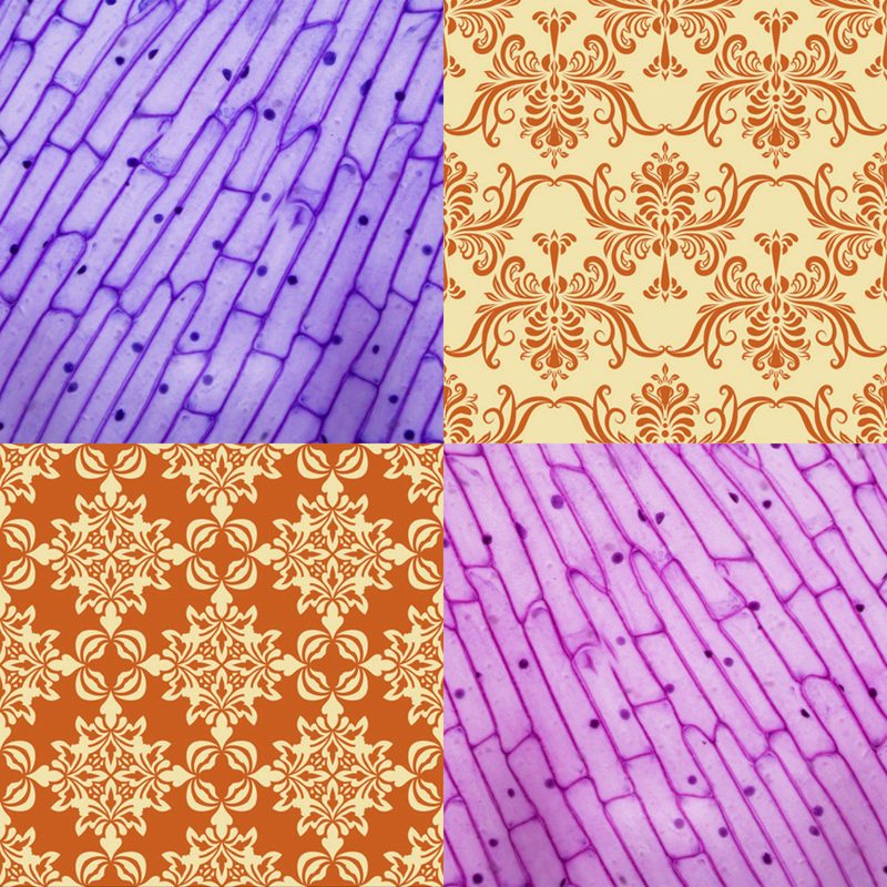A comparative four-square of alternating patterns: skin cells, then wallpaper, wallpaper, then skin cells.
