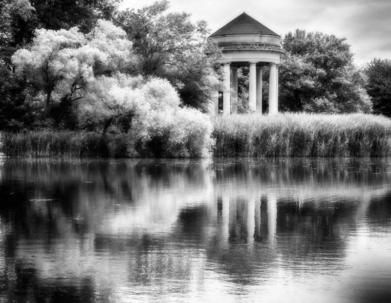 Gazebo on the water partially hidden by brush, captured in black and white