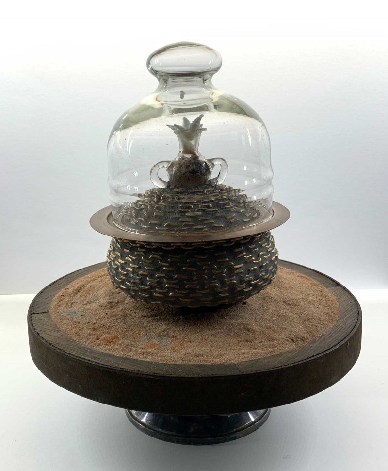 Wooden pedestal with a seed covered by a glass dome.