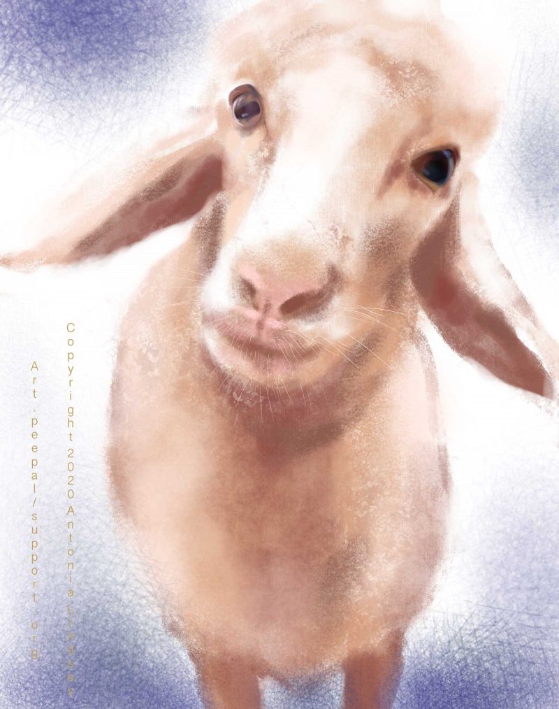 Painting of a goat on a purple background.