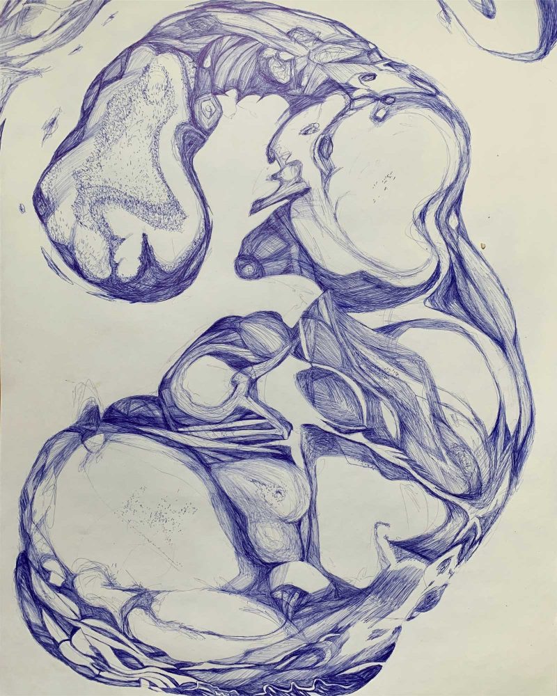blue pen drawing of an organic shape that resembles an internal organ.