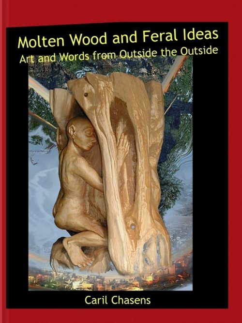 Book cover with wooden sculpture of a figure partially obscured by a tree branch